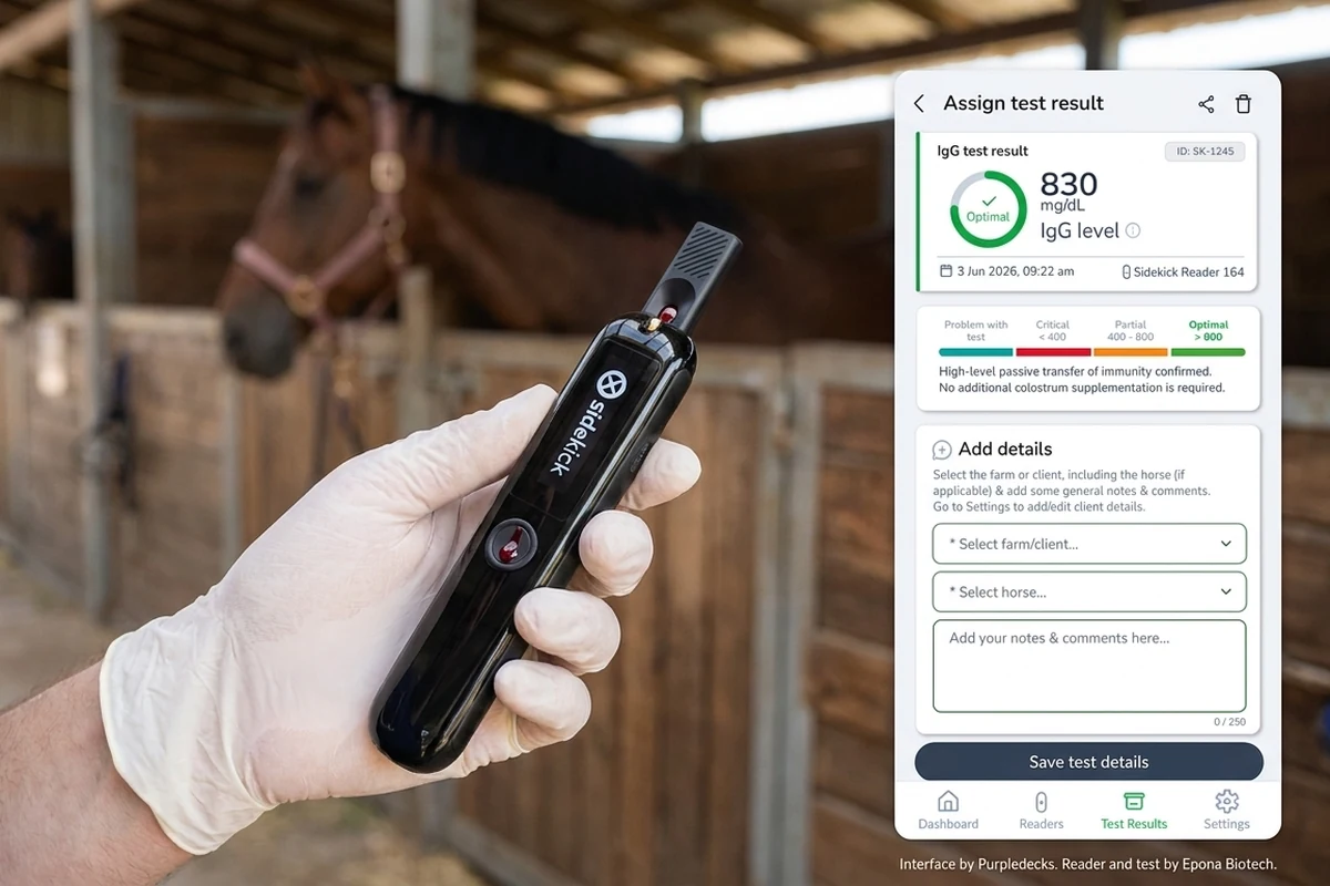A vet in gloves holding Epona's Sidekick reader in a stable, with the Sidekick app's test result screen beside it.